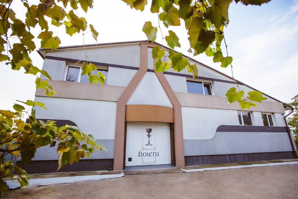 Casa Domeniile Vinului Hotel Aiud Buitenkant foto
